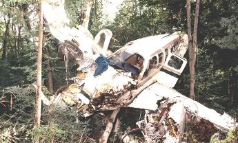 A plane that crashed into the woods.